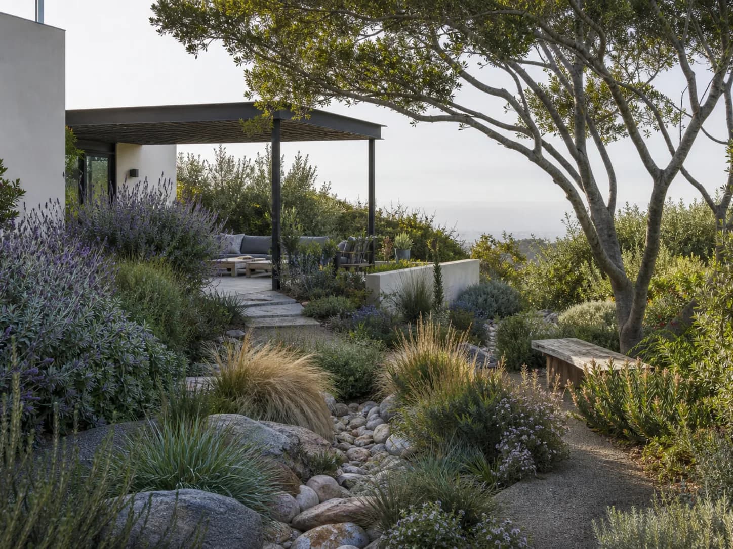 Drought-Resilient Modern Garden design inspiration